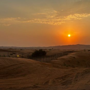 Dubai Marathon 2026 01