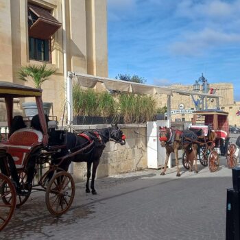 Malta Maraton 2026 09