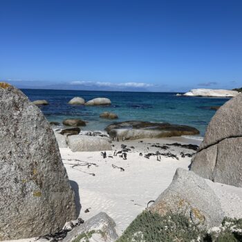 Sanlam Cape Town Marathon 14